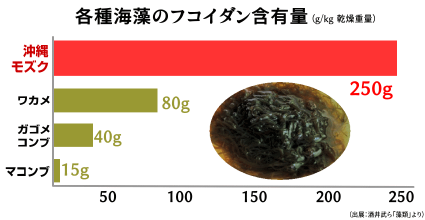 海藻、フコイダン、含有量、一番多い、モズク
