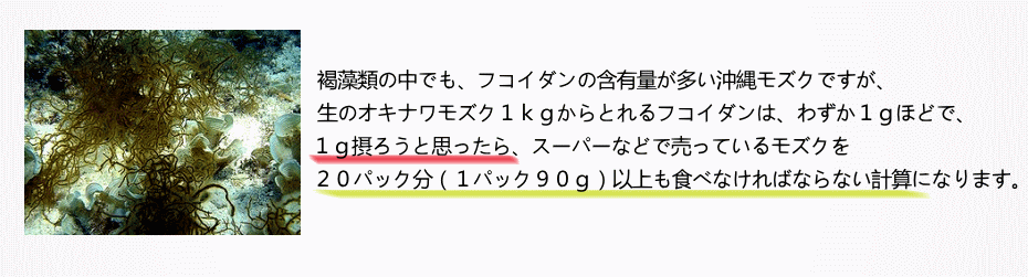 褐藻類、フコイダン含有量、多い、沖縄モズク