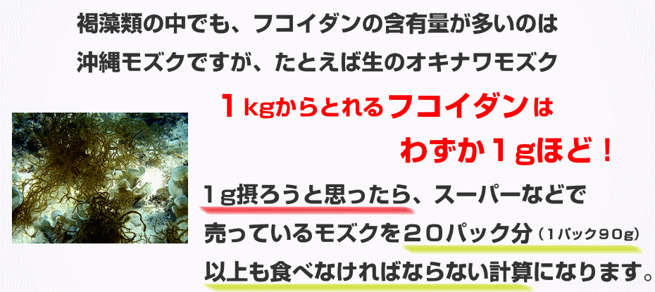 褐藻類の中でも沖縄モズクに大量