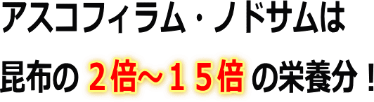 AXRtBEmhT͉h{