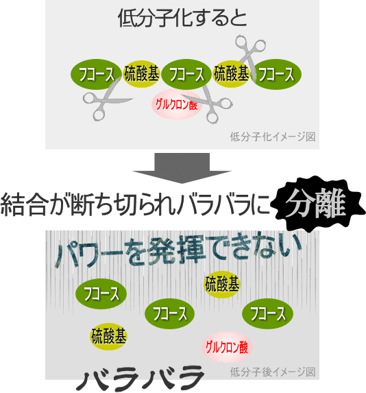 低分子化し結合が断ち切られバラバラ
