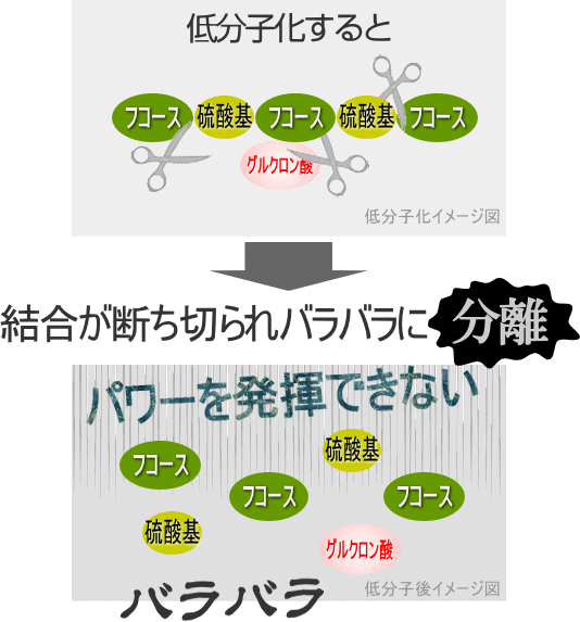 低分子化すると結合が断ち切られる