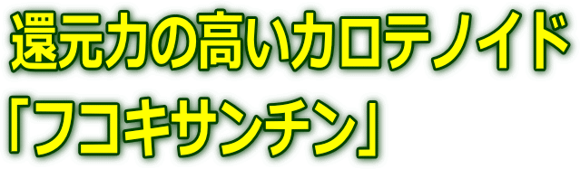 Ҍ͂̍JemCh