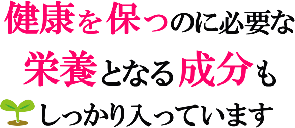 Nۂh{ƂȂ萬