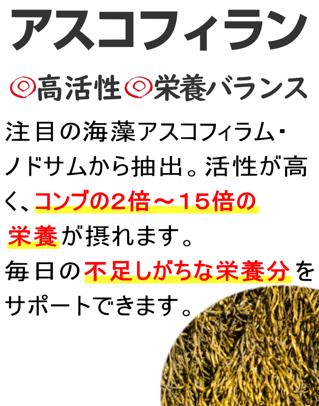 活性度の高いアスコフィラムは栄養豊富