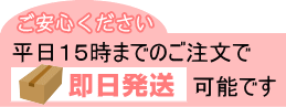 即日発送可能です