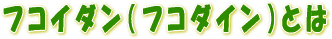 �t�R�C�_���i�t�R�_�C���j�Ƃ�