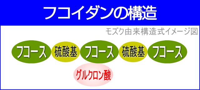 もずくフコイダン（フコダイン）の構造式