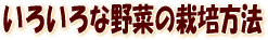 ���낢��ȍ͔|���@
