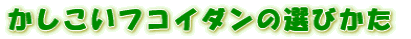 �ǂ��t�R�C�_���i�ӂ�������j�̑I�ѕ�