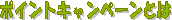 �|�C���g�L�����y�[���Ƃ�