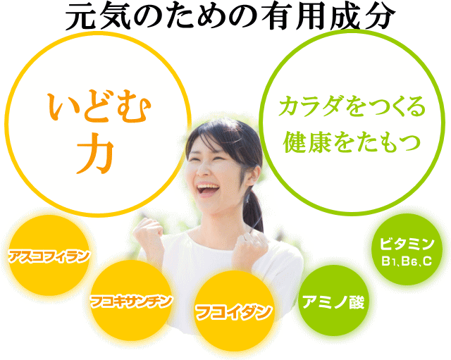 ރ`JƌNۂ`J