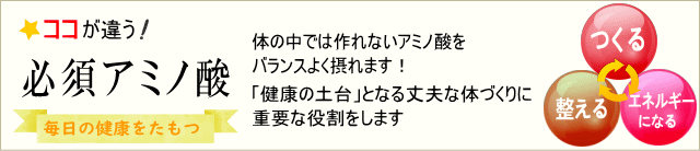 体を作る・整える・エネルギーになる