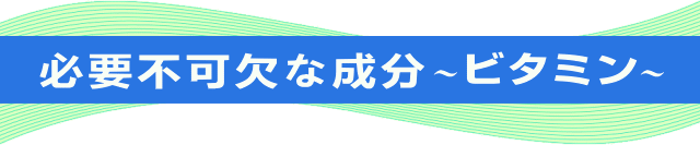 Kvsȃr^~