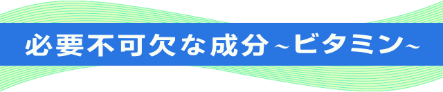 必要不可欠なビタミン