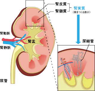 t݂̂Ƃ͂炫