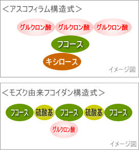 アスコフィラム構造式