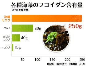 海藻の種類と含有量