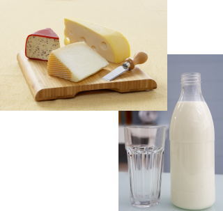 栄養価チーズや牛乳をじょうずに利用