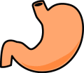 胃