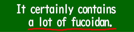 It certainly contains a lot of fucoidan.