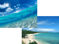 Clean Okinawa ocean environment for mozuku cultivation