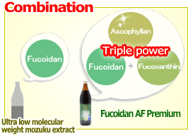 Triple seaweed components fucoidan fucoxanthin ascophyllan